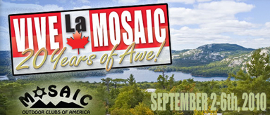 2010 Mosaic International Event Banner